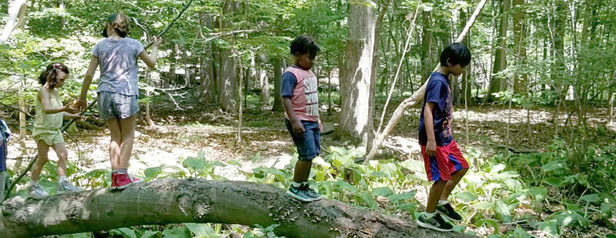Empowering Children through a Wholeness Approach to Learning